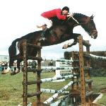 Narcos II - Narcos II<br />&copy; http://www.horsemagazine.com/thm/great-stallions/?gs=1887