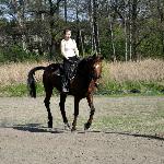 Limak
