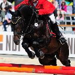 Goldwing (Moosbachhofs Goldwing) - CSIO Sopot 2010<br />&copy; Katarzyna Boryna