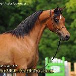 Maran - Maran 2009<br />&copy; Irina Filsinger
