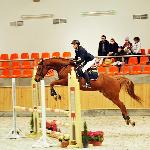 Legat - 2014<br />&copy; Baza Koni