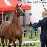 Nizara - Nizara 2012<br />&copy; Irina Filsinger