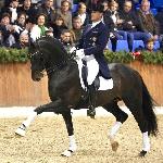 Licotus
