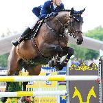 Zagato - CSI4* Poznań<br />&copy; Oliwia Chmielewska