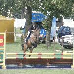 Niwka - Grand prix gr D Sicienko
