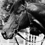 Dr. Fager