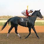 Ruffian
