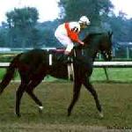 Ruffian