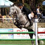 Cassone - Sportowy Czempionat Polski Młodych Koni 2011, pod Ireneuszem Gancarzem<br />&copy; Aleksandra Kowalska
