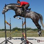 Cassone
