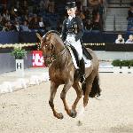 Damon Hill NRW - Helen Langehanenberg i Damon Hill NRW, Mechelen 2013 (CDI WDM)<br />&copy; Autor: World Dressage Masters  Licencja: CC BY 2.0 Źródło: Wikimedia Commons