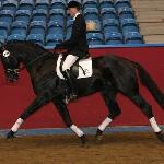 Blue Hors Soprano (Soprano)