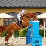 Erni 31 (Ernie) - ZR-B Warka, 8.08.2010<br />&copy; Oliwia Chmielewska