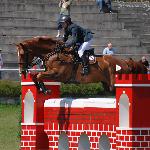 Erni 31 (Ernie) - Bogusławice 2012<br />&copy; s.szczęsna