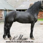 Ait 410 ex Albert T. fan Great Beckum