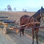 Lubeka