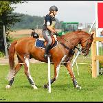 Fartlekas - CIC** Strzegom 2009<br />&copy; Oliwia Chmielewska