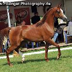Wagira - Wagira 2010<br />&copy; Irina Filsinger