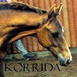 Korrida