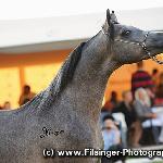 Emarc - Emarc 2011<br />&copy; Irina Filsinger
