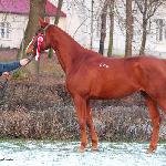 Frontiera - ZT Bogusławice 2010<br />&copy; Oliwia Chmielewska
