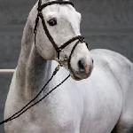Clintissimo (Clintissimo Z)
