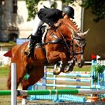 Bijou Be - MPMK-B 2011<br />&copy; Oliwia Chmielewska