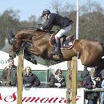 Triomphe de Muze