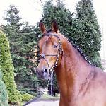 Triomphe de Muze