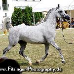 Dormeza - Dormeza 2008<br />&copy; Irina Filsinger