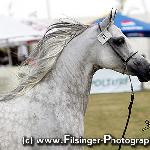 Dormeza - Dormeza 2008<br />&copy; Irina Filsinger