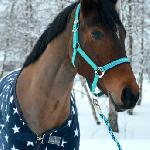 Toska