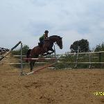 Kobalt