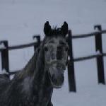Berek - Bernard<br />&copy; M.Kochanowska
