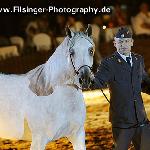 Cetula - Cetula 2011<br />&copy; Irina Filsinger