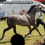 Cisowa - Cisowa 2011<br />&copy; Irina Filsinger