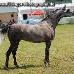Cisowa - Cisowa 2011<br />&copy; Irina Filsinger
