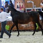 Bursa - Bursa 2015<br />&copy; Anna Pyzara-Nakoniechnaia