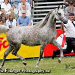 Ernesta - Ernesta 2005<br />&copy; Irina Filsinger