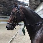 Corentin II