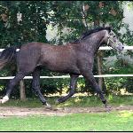 Clintero (ex C-Franciszek)<br />&copy; Roma Kosicka