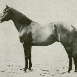 Balthazar