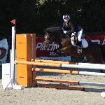 Ramiro - Swoszowice IX 2011<br />&copy; Małgorzata Tatko