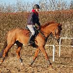 Hesja