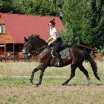 Pani Grafinia<br />&copy; Dominika Pacuszka