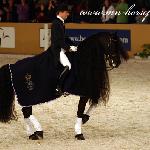Adel 357 ex Cas