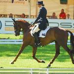 Headley Britannia - CIC***-W,Finał PŚ Strzegom 2009<br />&copy; Oliwia Chmielewska