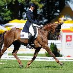 Headley Britannia<br />&copy; Katarzyna Boryna<br /><i>CIC***-W, Finał PŚ Strzegom 2009</i>