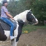 Pinia