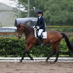 Czakir LP - ZR-A Reda 2014<br />&copy; Baza Koni